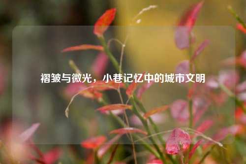 褶皱与微光，小巷记忆中的城市文明