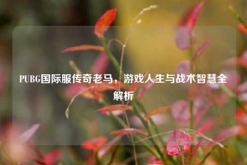 PUBG国际服传奇老马，游戏人生与战术智慧全解析