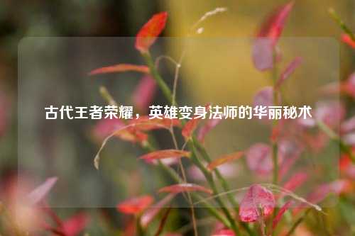 古代王者荣耀，英雄变身法师的华丽秘术