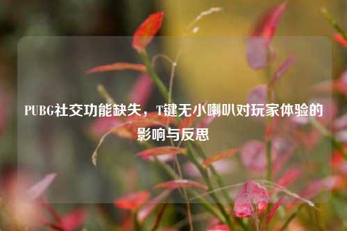 PUBG社交功能缺失，T键无小喇叭对玩家体验的影响与反思