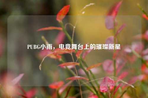 PUBG小雨，电竞舞台上的璀璨新星