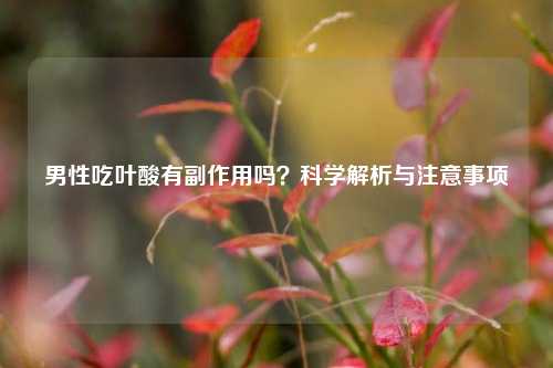 男性吃叶酸有副作用吗？科学解析与注意事项