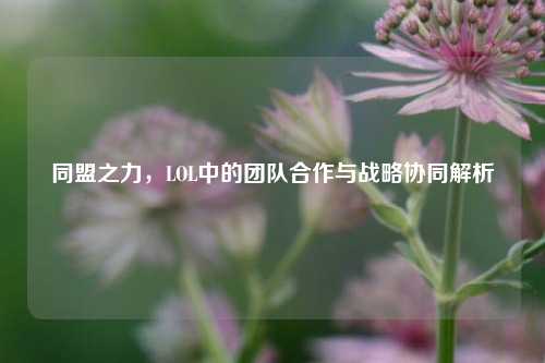 同盟之力，LOL中的团队合作与战略协同解析