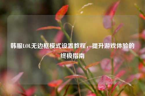 韩服LOL无边框模式设置教程，提升游戏体验的终极指南