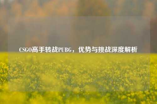 CSGO高手转战PUBG，优势与挑战深度解析
