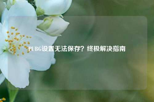 PUBG设置无法保存？终极解决指南
