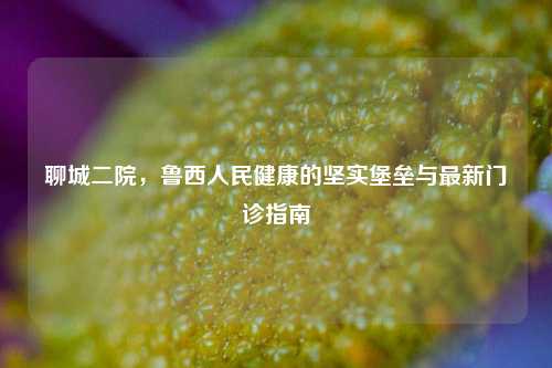 聊城二院，鲁西人民健康的坚实堡垒与最新门诊指南