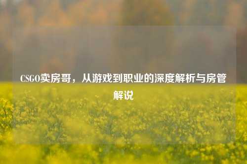 CSGO卖房哥，从游戏到职业的深度解析与房管解说