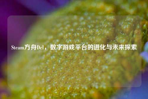 Steam方舟Del，数字游戏平台的进化与未来探索