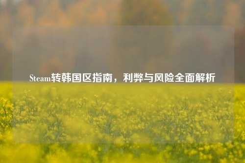 Steam转韩国区指南，利弊与风险全面解析