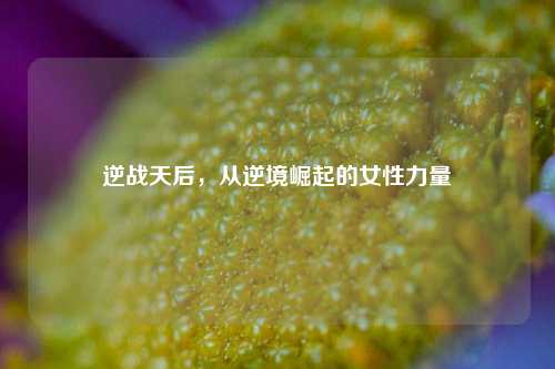 逆战天后，从逆境崛起的女性力量