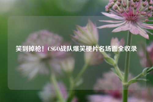 笑到掉枪！CSGO战队爆笑梗片名场面全收录