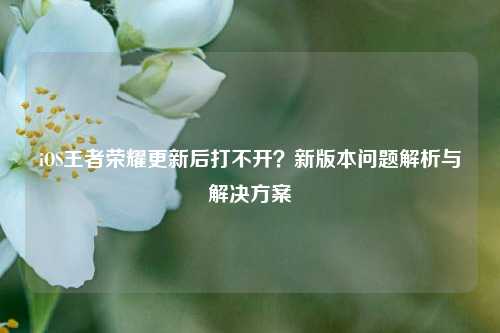 iOS王者荣耀更新后打不开？新版本问题解析与解决方案