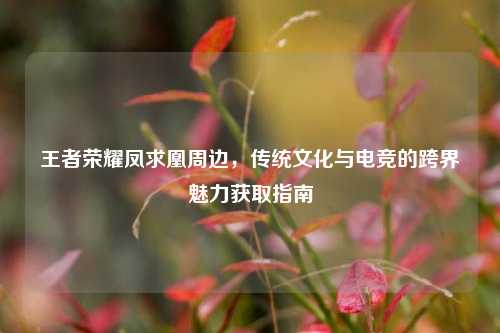 王者荣耀凤求凰周边，传统文化与电竞的跨界魅力获取指南