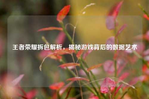 王者荣耀拆包解析，揭秘游戏背后的数据艺术