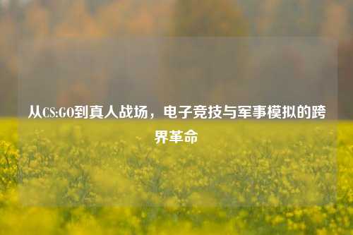 从CS:GO到真人战场，电子竞技与军事模拟的跨界革命