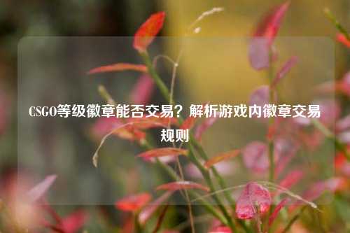 CSGO等级徽章能否交易？解析游戏内徽章交易规则