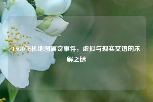 CSGO飞机地图离奇事件，虚拟与现实交错的未解之谜
