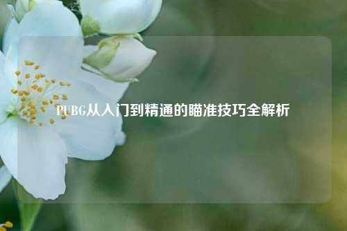 PUBG从入门到精通的瞄准技巧全解析