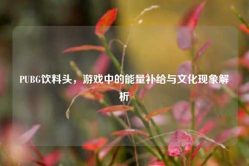 PUBG饮料头，游戏中的能量补给与文化现象解析