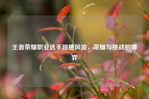王者荣耀职业选手跳槽风波，荣耀与挑战的博弈