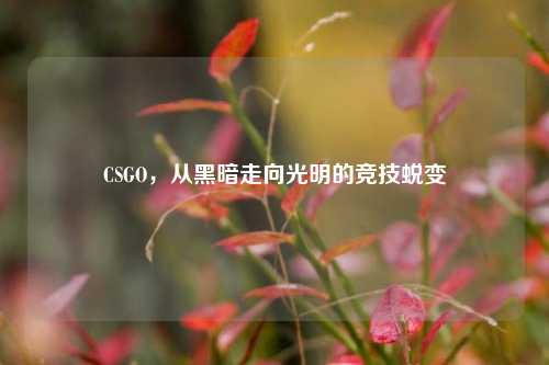 CSGO，从黑暗走向光明的竞技蜕变