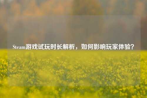 Steam游戏试玩时长解析，如何影响玩家体验？