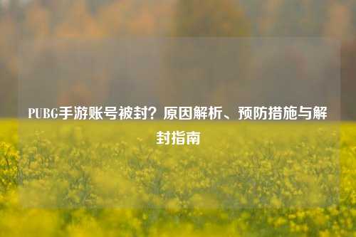 PUBG手游账号被封？原因解析、预防措施与解封指南