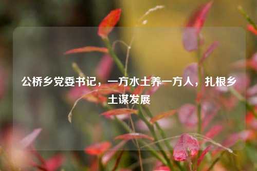 公桥乡党委书记，一方水土养一方人，扎根乡土谋发展