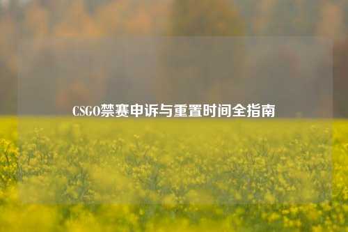 CSGO禁赛申诉与重置时间全指南