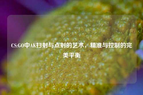 CS:GO中AK扫射与点射的艺术，精准与控制的完美平衡