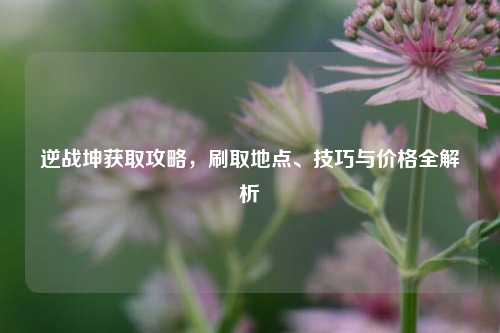 逆战坤获取攻略，刷取地点、技巧与价格全解析