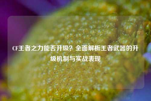 CF王者之力能否升级？全面解析王者武器的升级机制与实战表现