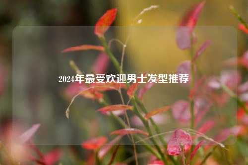 2024年更受欢迎男士发型推荐