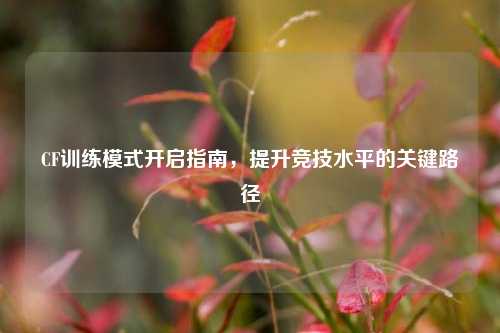 CF训练模式开启指南，提升竞技水平的关键路径