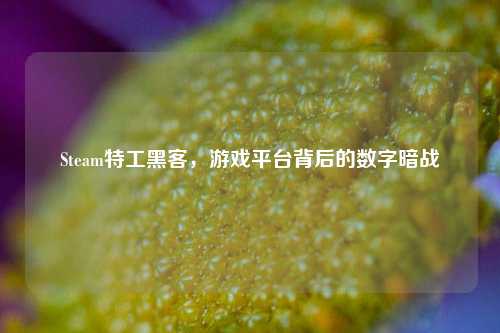 Steam特工黑客，游戏平台背后的数字暗战