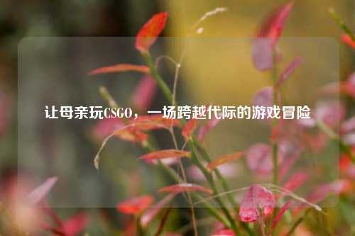 让母亲玩CSGO，一场跨越代际的游戏冒险