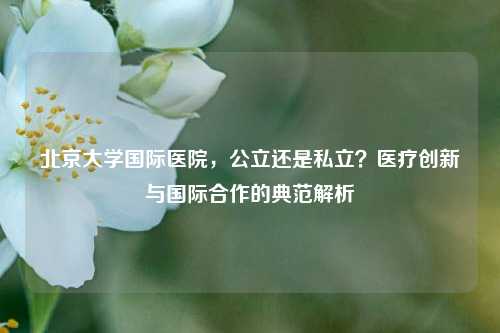 北京大学国际医院，公立还是私立？医疗创新与国际合作的典范解析