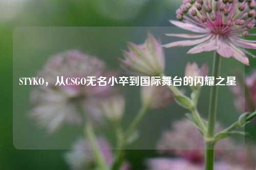 STYKO，从CSGO无名小卒到国际舞台的闪耀之星