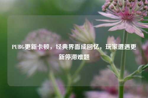 PUBG更新卡顿，经典界面成回忆，玩家遭遇更新停滞难题
