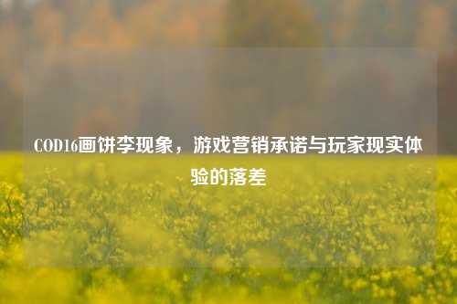 COD16画饼李现象，游戏营销承诺与玩家现实体验的落差
