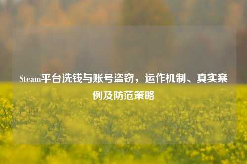 Steam平台洗钱与账号盗窃，运作机制、真实案例及防范策略