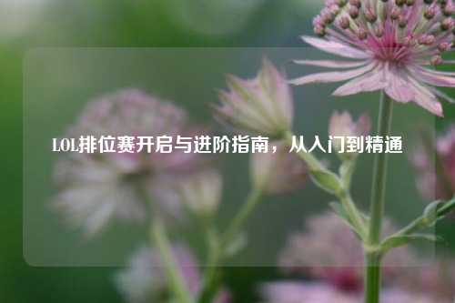 LOL排位赛开启与进阶指南，从入门到精通