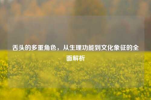 舌头的多重角色，从生理功能到文化象征的全面解析