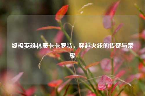 终极英雄林辰卡卡罗特，穿越火线的传奇与荣耀