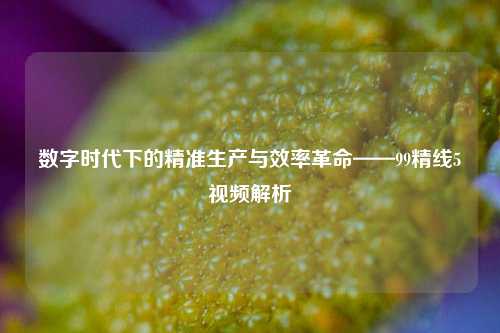数字时代下的精准生产与效率革命——99精线5视频解析