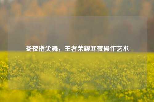 冬夜指尖舞，王者荣耀寒夜操作艺术