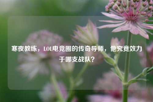 寒夜教练，LOL电竞圈的传奇导师，他究竟效力于哪支战队？