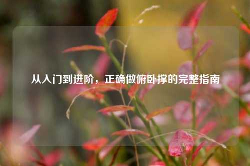 从入门到进阶，正确做俯卧撑的完整指南