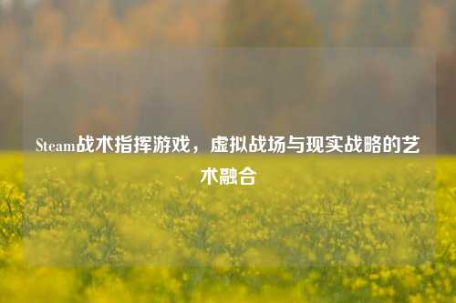 Steam战术指挥游戏，虚拟战场与现实战略的艺术融合